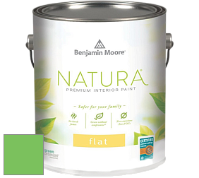 Benjamin Moore 512 Natura Interior Flat Finish матовая краска цвет NCS S 0570-G20Y 