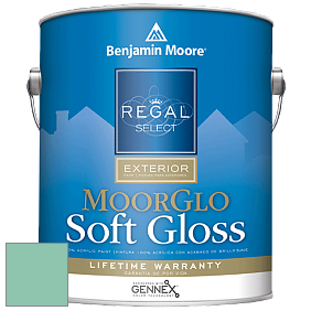 Benjamin Moore W096 Regal Select Exterior Paint-Moor GloSoft Gloss Finish краска цвет 599 Brookdale Gardens