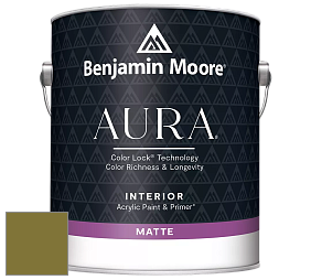 Benjamin Moore Aura 522 Interior Paint - Matte краска цвет NCS S 4550-G70Y 