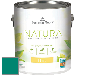 Benjamin Moore 512 Natura Interior Flat Finish матовая краска цвет NCS S 3060-B70G 