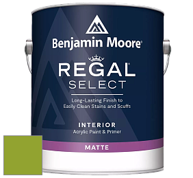 Benjamin Moore 548 IRegal Select Interior Paint - Matte краска цвет 2028-20 Douglas Fir