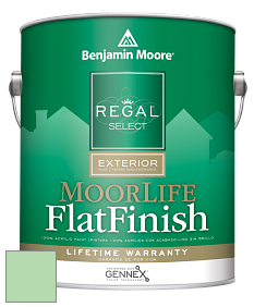 Benjamin Moore W105 Regal Select Exterior Paint-MoorLife Flat Finish краска цвет 571 Lotus Flower