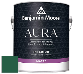 Benjamin Moore Aura 522 Interior Paint - Matte краска цвет NCS S 5540-G 