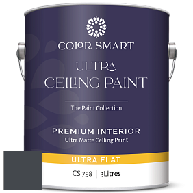 COLOR SMART CS 758 ULTRA CEILING PAINT ультраматовая краска цвет 2129-20 Soot