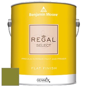 Benjamin Moore 547 Regal Select Waterborne Interior Flat Finish краска цвет NCS S 3065-G50Y 