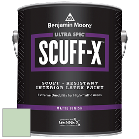 Benjamin Moore 484 Ultra Spec SCUFF-X Interior Matte Finish краска цвет 562 Cucumber Salad