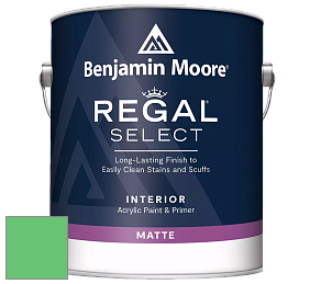 Benjamin Moore 548 IRegal Select Interior Paint - Matte краска цвет NCS S 0565-G10Y 