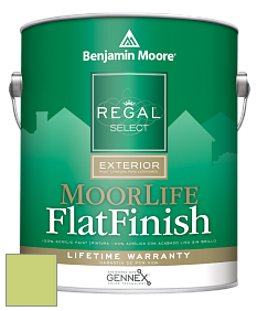 Benjamin Moore W105 Regal Select Exterior Paint-MoorLife Flat Finish краска цвет 417 Feel the Energy
