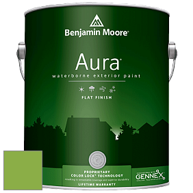 Benjamin Moore Aura 629 Waterborne Exterior Flat Finish краска цвет 420 Apple Lime Cocktail