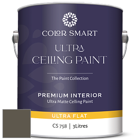 COLOR SMART CS 758 ULTRA CEILING PAINT ультраматовая краска цвет 2138-20 Green Grove