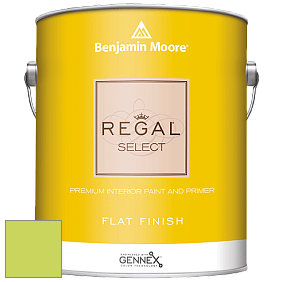 Benjamin Moore 547 Regal Select Waterborne Interior Flat Finish краска цвет NCS S 0560-G50Y 